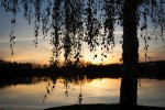 m_langau07